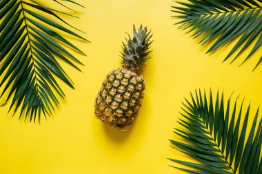 Olgun ananas izole canlı sarı zemin üzerine. Palm kenarlık çerçeve bırakır. Minimalist tarzı moda tropikal kavramı. Metin, kopyalama, yazı için oda.