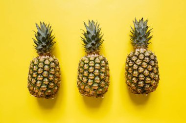 Ağaç izole canlı sarı arka plan üzerinde olgunlaşmış ananas. Minimalist tarzı moda tropikal kavramı.