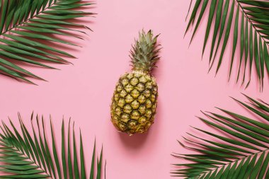 Olgun ananas izole pastel pembe arka plan üzerinde. Palm kenarlık çerçeve bırakır. Minimalist tarzı moda tropikal kavramı.