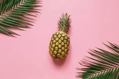 Olgun ananas izole pastel pembe arka plan üzerinde. Palm kenarlık çerçeve bırakır. Minimalist tarzı moda tropikal kavramı.