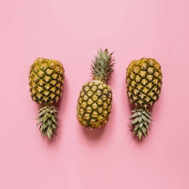 Ağaç izole soluk pembe arka plan üzerinde olgunlaşmış ananas. Minimalist tarzı moda tropikal kavramı.