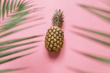 Olgun ananas izole pastel pembe arka plan üzerinde. Palm kenarlık çerçeve bırakır. Minimalist tarzı moda tropikal kavramı.