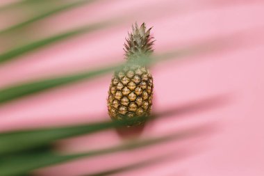 Olgun ananas izole pastel pembe arka plan üzerinde. Palm kenarlık çerçeve bırakır. Minimalist tarzı moda tropikal kavramı.