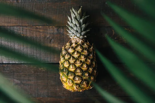 Olgun ananas, palm çerçeve koyu ahşap arka plan üzerinde bırakır. Tropikal meyve yaratıcı kavramı.