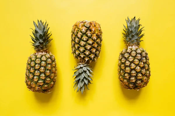 Ağaç izole canlı sarı arka plan üzerinde olgunlaşmış ananas. Minimalist tarzı moda tropikal kavramı.