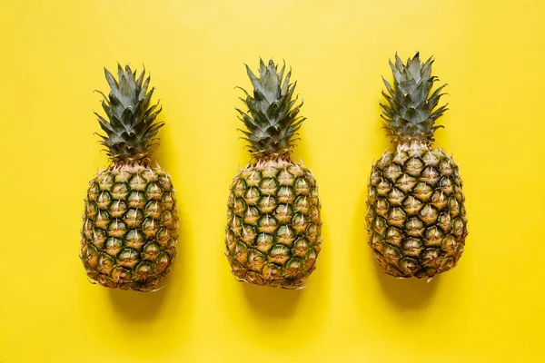 Ağaç izole canlı sarı arka plan üzerinde olgunlaşmış ananas. Minimalist tarzı moda tropikal kavramı.