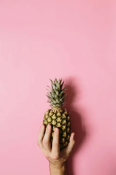 Mano Hombre Sosteniendo Piña Madura Sobre Fondo Rosado Desvanecido Aislado — Foto de Stock