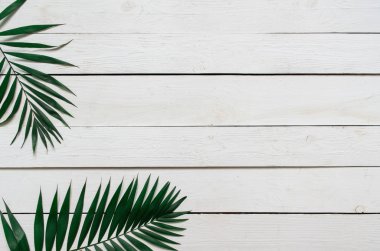 Düz yeşil tropikal palmiye yaprağı dal Beyaz ahşap plakalar arka plan üzerinde yatıyordu. Metin, kopyalama, yazı için oda.