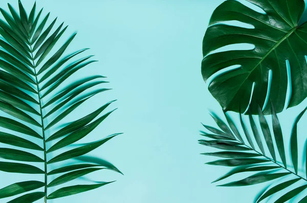 グリーン フラットは シアンの青い背景に熱帯のヤシの葉の枝を置きます テキスト コピー レタリングのための部屋 — ストック写真