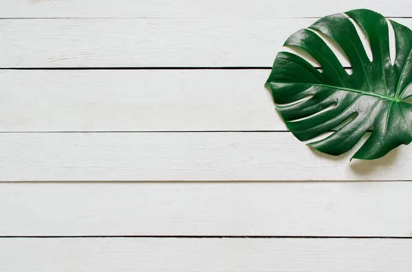 绿平放置热带龟背竹叶上白色木板的背景 刻字室 — 图库照片
