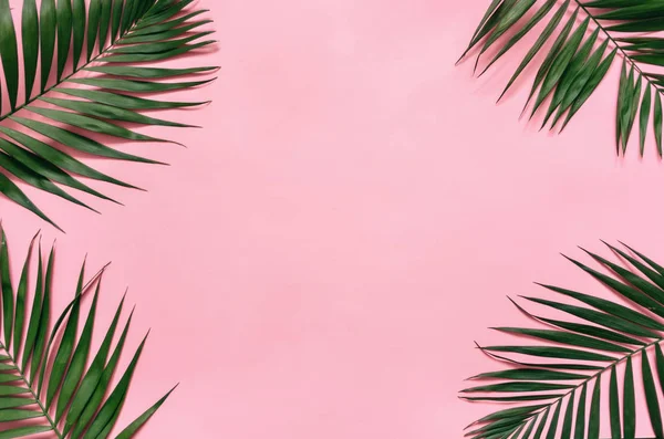 Palma Tropicale Lascia Cornice Bordo Isolato Sfondo Rosa Pastello Spazio — Foto Stock