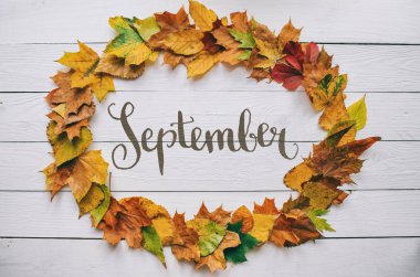 Eylül üzerinde renkli sonbahar kuru el yazısı modern hat oval çelenk çerçeve beyaz boyalı rustik ahır ahşap boşlukları arka plan üzerinde bırakır. Yatay kartpostal.