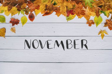 Kasım el yazısı modern hat üzerinde renkli sonbahar kuru beyaz boyalı rustik ahır ahşap boşlukları arka plan üzerinde kenarlık çerçeve bırakır. Yatay kartpostal.