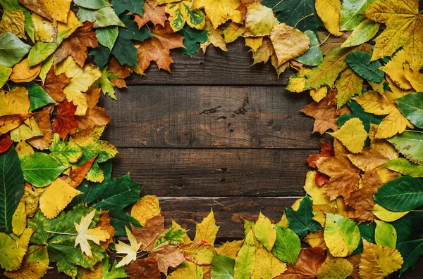 Couronne Feuilles Vert Rouge Jaune Automne Sur Fond Planches Bois — Photo