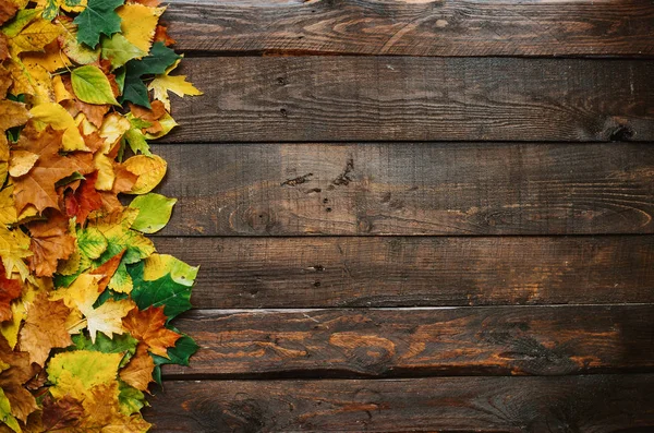 Automne Jaune Rouge Vert Bordure Feuilles Sur Fond Planches Bois — Photo