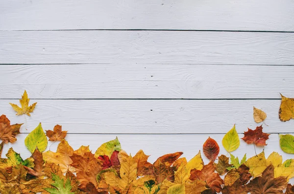 Automne Coloré Feuilles Sèches Bordure Cadre Sur Blanc Peint Rustique — Photo