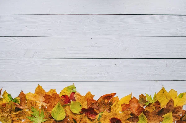 Automne Coloré Feuilles Sèches Bordure Cadre Sur Blanc Peint Rustique — Photo