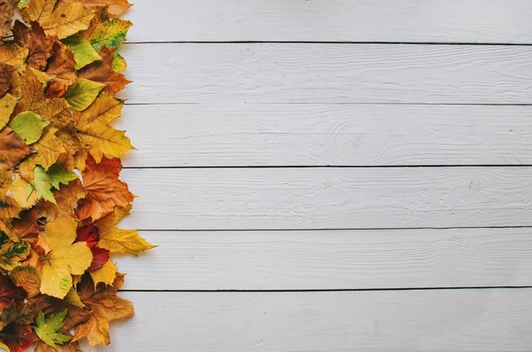 Kolorowe Jesienią Suche Liście Ramki Granicznej Białym Pomalowanym Rustykalnym Drewnie — Zdjęcie stockowe