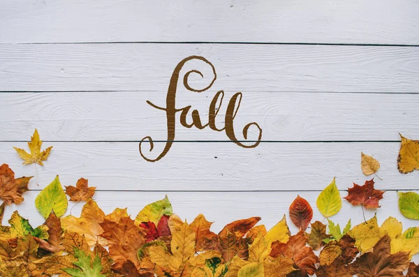 Fall Handwritten Modern Calligraphy Colorful Autumn Dry Leaves Border Frame — Stock Photo, Image