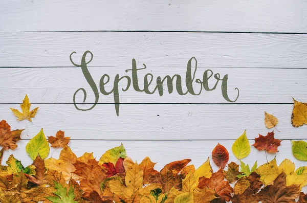 Eylül üzerinde renkli sonbahar kuru el yazısı modern hat kenarlık çerçeve beyaz boyalı rustik ahır ahşap boşlukları arka plan üzerinde bırakır. Yatay kartpostal.