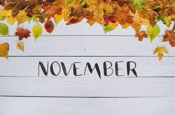 Kasım el yazısı modern hat üzerinde renkli sonbahar kuru beyaz boyalı rustik ahır ahşap boşlukları arka plan üzerinde kenarlık çerçeve bırakır. Yatay kartpostal.