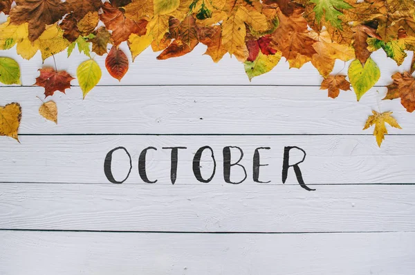 Ekim Elle Yazılmış Modern Hat Üzerinde Renkli Sonbahar Kuru Beyaz — Stok fotoğraf