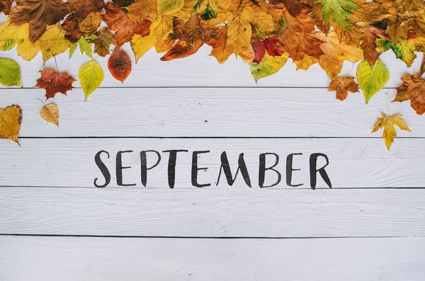 Eylül üzerinde renkli sonbahar kuru el yazısı modern hat kenarlık çerçeve beyaz boyalı rustik ahır ahşap boşlukları arka plan üzerinde bırakır. Yatay kartpostal.
