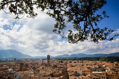 Torre Delle cevheri ağaç dalları, Lucca, Toskana, İtalya ile Guinigi kulenin tepesinden görünümü. Doğal şehir panoramik genel bakış pitoresk seyahat kartpostal.