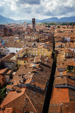 Görünümü Torre Delle cevheri Guinigi kulenin, Lucca, Toskana, İtalya. Doğal şehir panoramik genel bakış pitoresk seyahat dikey kartpostal.