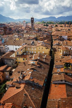 View of Torre Delle Ore from top of Guinigi Tower, Lucca, Tuscany, Italy. Scenic city panoramic overview picturesque travel vertical postcard. clipart