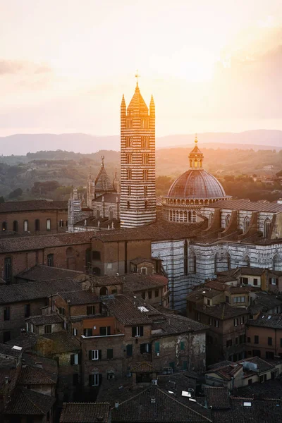 Vue Rétroéclairée Pittoresque Cathédrale Sienne Santa Maria Assunta Duomo Depuis — Photo
