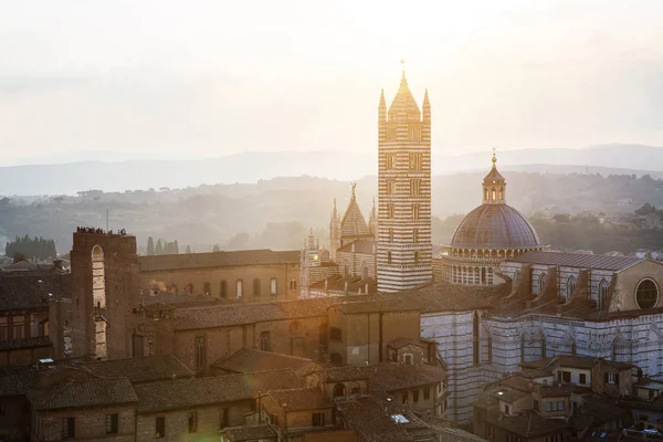 在日落黄金时间 意大利托斯卡纳 从托雷德尔曼贾塔看到锡耶纳大教堂圣玛丽亚 阿松塔 大教堂 的风景如画的背光景色 景区旅游景区水平明信片 — 图库照片