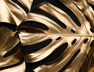 Doğal parlak monstera karanlık derin siyah zemin üzerine altın metalik boya ile boyamışlar bırakır. Lüks çiçek desenli. Son moda yaratıcı modern yaz moda kavramı.