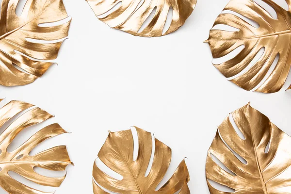 Disposizione Creativa Foglie Monstera Tropicale Dipinte Oro Sfondo Bianco Isolato — Foto Stock