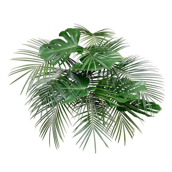 Trendy Monstera Tropische Palm Bladeren Lay Out Precies Geïsoleerd Een — Stockfoto