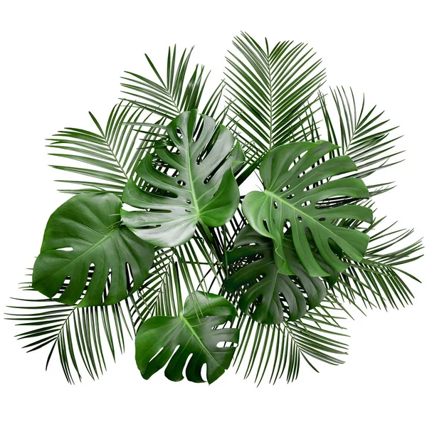 Luxe Monstera Tropische Palm Bladeren Lay Out Precies Geïsoleerd Een — Stockfoto