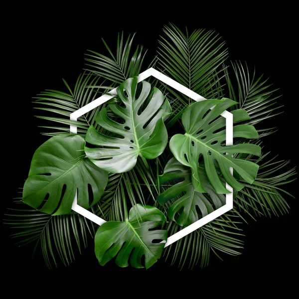 Creative arrangement of tropical monstera palm leaves with hexagonal paper card note. Floral flat lay precisely isolated on black background. Nature concept idea. Space for copy, text, lettering.