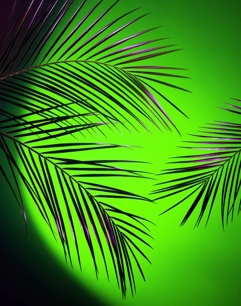 Creatieve Tropische Palm Laat Regeling Verlicht Met Proton Paarse Ufo — Stockfoto