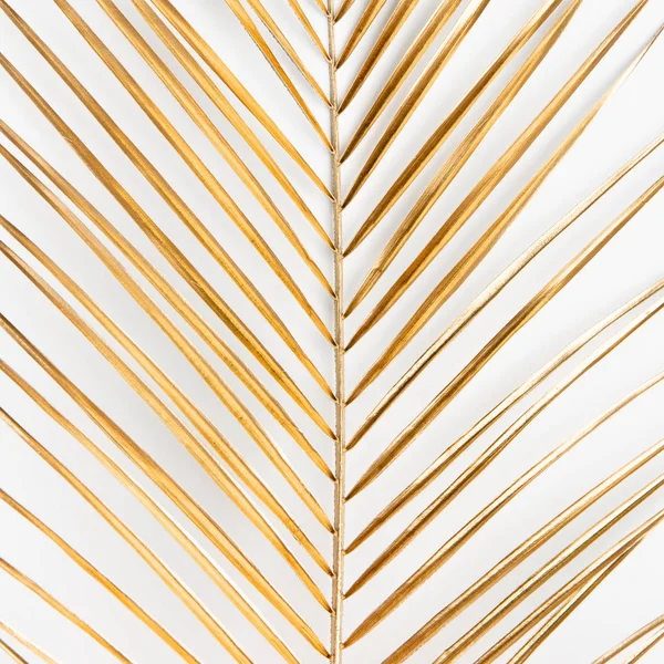 Closeup of golden painted tropical palm leaf on clean white background isolated. Luxury wedding concept pattern texture.