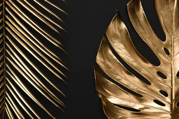 Real natural shiny monstera and palm leaves spray painted with golden metallic paint on dark deep black background. Trendy creative modern summer fashion concept.