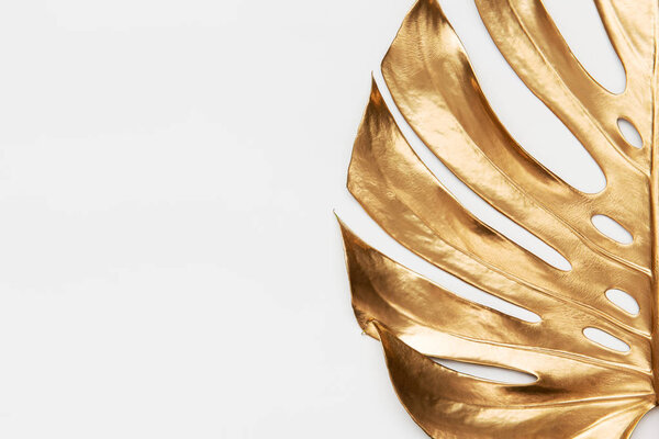 Большой спрей нарисовал золотой лист монстры на чистом белом фоне. Пустое место, место для смс. Люксовый минималистский стиль художественной креативной модной идеи концепции. Половина крупного плана Лианы
.