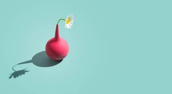 Kwiat Rumianku Różowej Lewatywie Jako Wazon Oświetlony Twardym Światłem Abstrakcyjnym — Zdjęcie stockowe