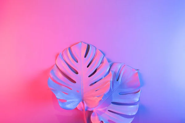 Layout Creativo Foglie Monstera Illuminate Con Luce Neon Multicolore Astratto — Foto Stock