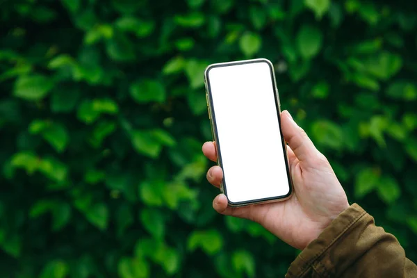 Mano Mujer Sostiene Teléfono Inteligente Moderno Pantalla Blanca Sobre Fondo — Foto de Stock