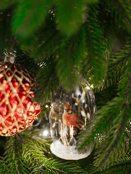 Boll de vidro de Natal com pássaro incidem em uma árvore de Natal . — Fotografia de Stock