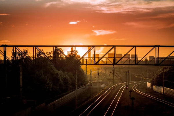 railway at sunset nature and city