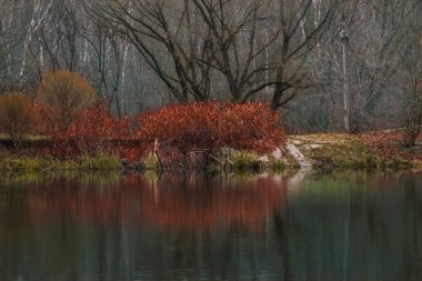 Sonbaharda göl manzarası soğuktur.