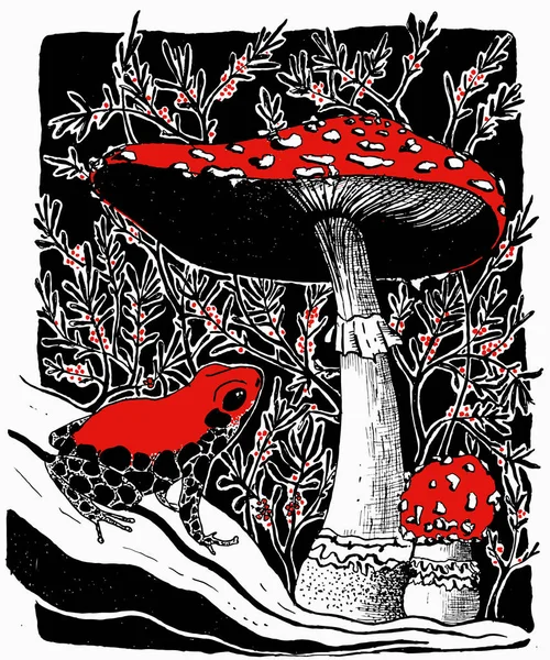 Ilustracja Wektorowa Trujące Żaby Fly Agaric Grzyby Tle Trujące Jagody — Wektor stockowy