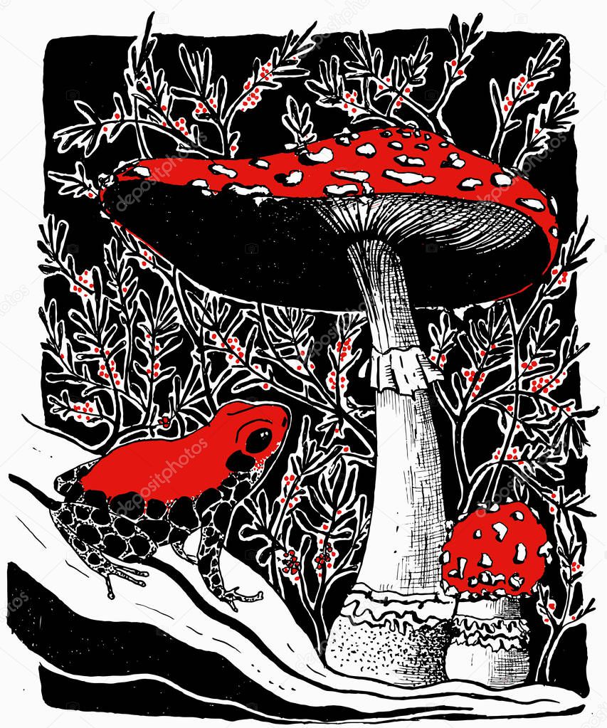 Vector illustration of poisonous frog and  fly agaric mushrooms on the background of poisonous berries in black, white and red colors