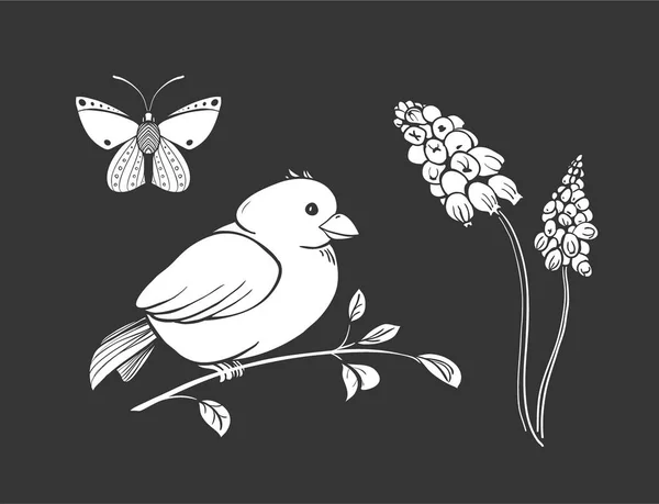Lente collectie. Vectorillustratie van vlinder, vogel op de brunch en muscari bloemen — Stockvector